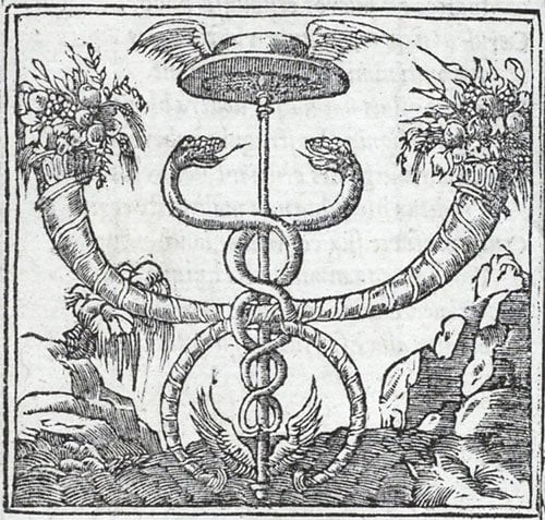 Fortuna 1550