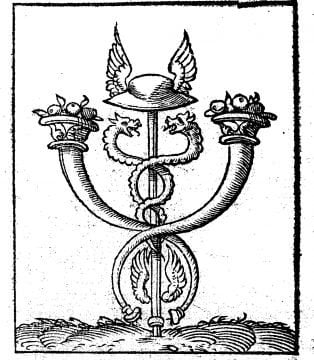 Fortune Compagne De Vertu 1534
