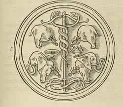 Médaillon éléphant