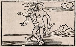Occasion 1531