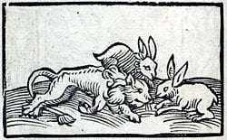Alciat, emblèmes, Augsbourg, H. Steyner, 1531