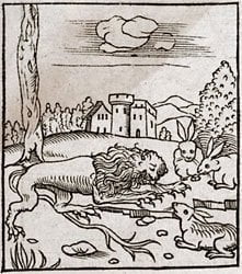 Hector 1534