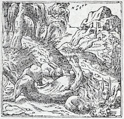 Alciat, emblèmes, G. Rouillé pour M. Bonhomme, 1550