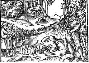 Hercule Gaulois 1534