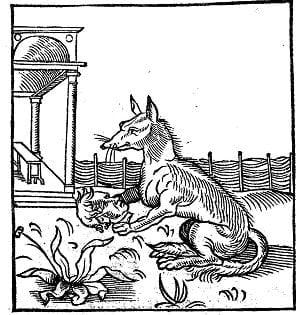 Renard Et Masque 1534