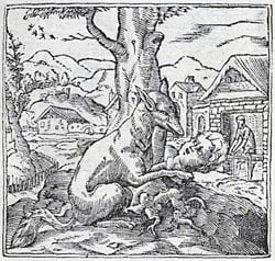 Renard Et Masque 1550