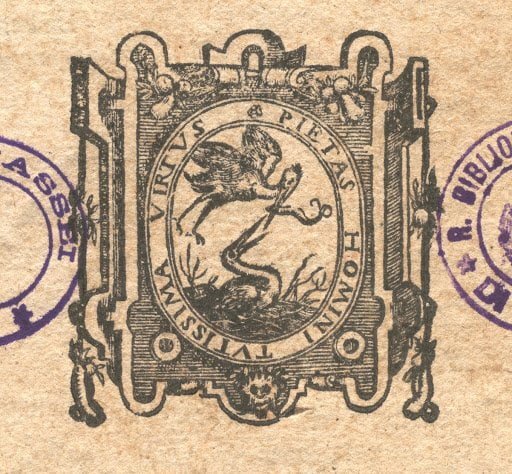 Pietas Nutius