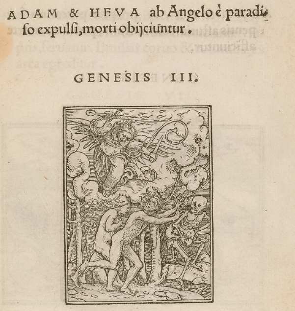 Adam et Eve chasses du paradis Holbein
