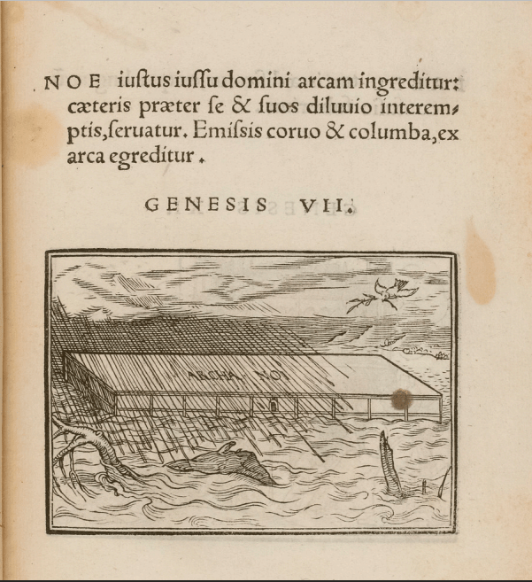 Deluge Holbein 1