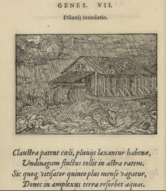 Deluge Salomon