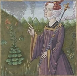 Medee Boccace