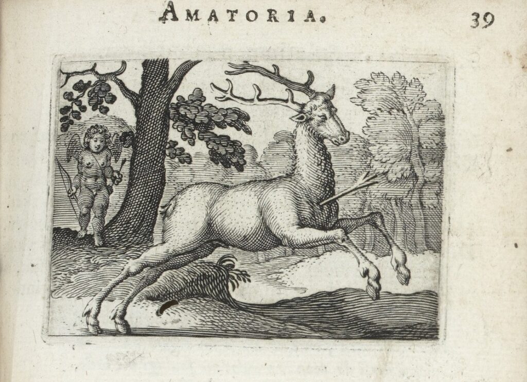 Fig. 12 et piu dolsi rogné