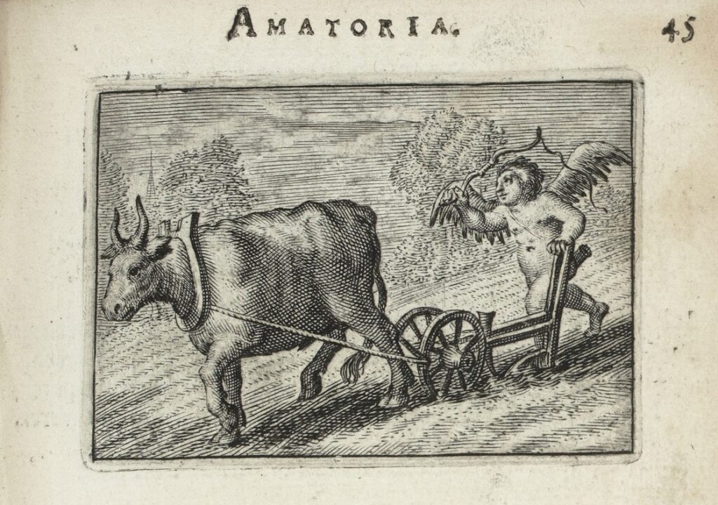 Fig. 14 Sero detractat onus rogné